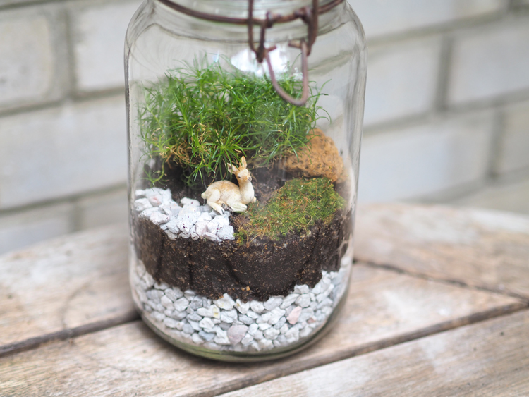 DIY : Créer un terrarium dans un bocal fermé - Depuis mon hamac